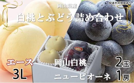 桃 ぶどう 2026年 岡山 白桃 エース 2玉×約300g（3Lサイズ、早生種・中生種）ニュー ピオーネ 1房約600g 詰め合わせ 岡山県産 フルーツ