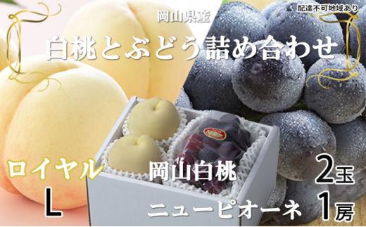 桃 ぶどう 2026年 岡山 白桃 ロイヤル 2玉×約200g（Lサイズ、早生種・中生種）ニュー ピオーネ 1房約400g 詰め合わせ 岡山県産 フルーツ