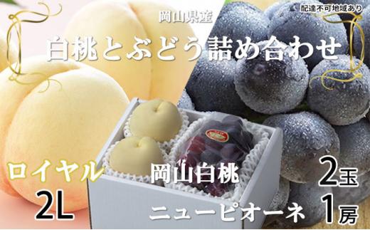 桃 ぶどう 2026年 岡山 白桃 ロイヤル 2玉×約250g（2Lサイズ、早生種・中生種）ニュー ピオーネ 1房約500g 詰め合わせ 岡山県産 フルーツ