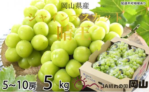 ぶどう 2026年   シャイン マスカット 晴王 5房～10房 約5kg＜2026年8月下旬～2026年10月下旬発送＞ ブドウ 葡萄  岡山県産 国産 フルーツ 果物 ギフト