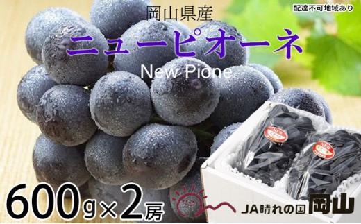 ぶどう 2026年 ニュー ピオーネ 約600g×2房 ブドウ 葡萄  岡山県産 国産 フルーツ 果物 ギフト