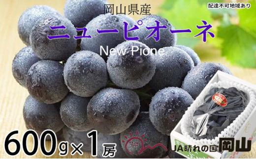 ぶどう 2026年 ニュー ピオーネ 約600g×1房 ブドウ 葡萄  岡山県産 国産 フルーツ 果物 ギフト