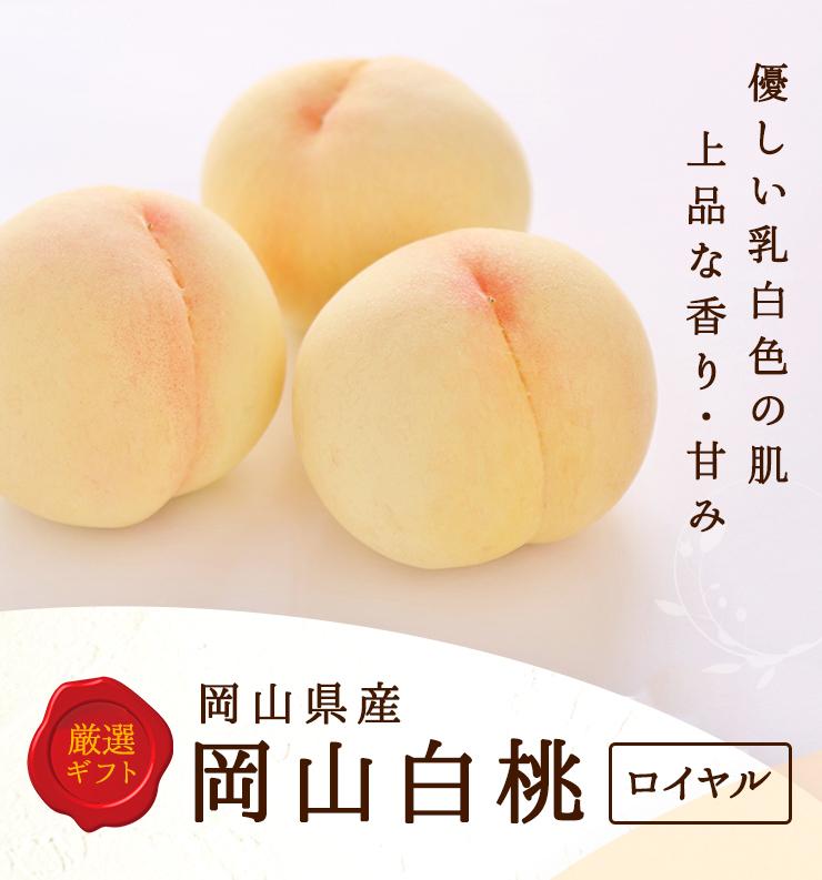 2026年  岡山県産　白桃6玉(1.5kg以上) 等級：ロイヤル 化粧箱入り
