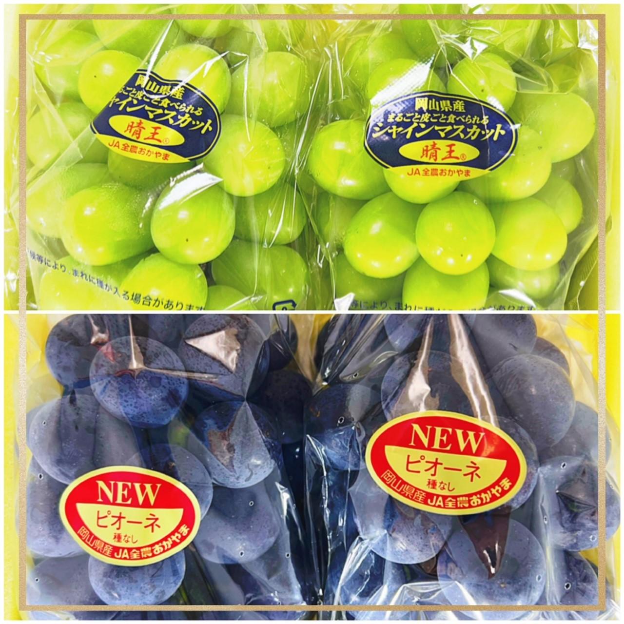 2026年  岡山県産　ニューピオーネ2房(1房480g以上)・シャインマスカット晴王2房(1房480g以上)　化粧箱入り