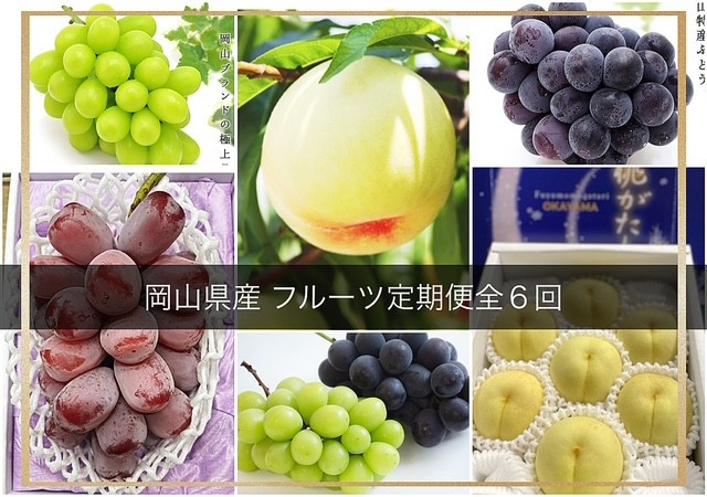 【全6回コース】2026年  岡山県産　旬のフルーツ定期便