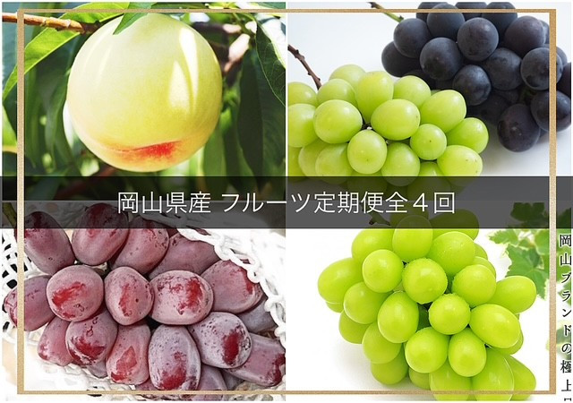 フルーツ  2026年 岡山県産 定期便 4回コース（シャインマスカット・ニューピオーネ・岡山冬桃がたり等）
