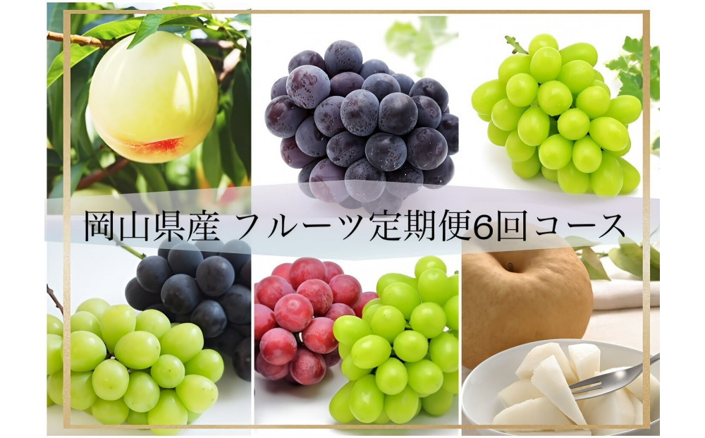 岡山県産 フルーツ定期便全6回＜お一人様向け＞