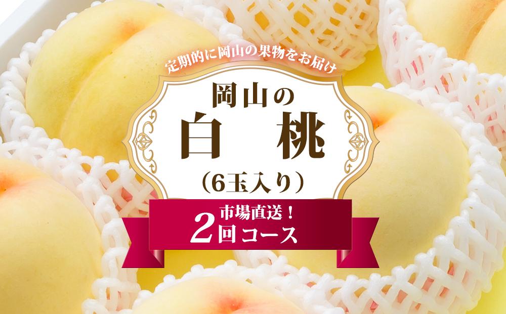 桃 定期便 2026年 岡山 の 白桃 6玉 合計1.6kg以上×2回 お届け 化粧箱入り もも モモ 岡山産 国産 フルーツ 果物 ギフト