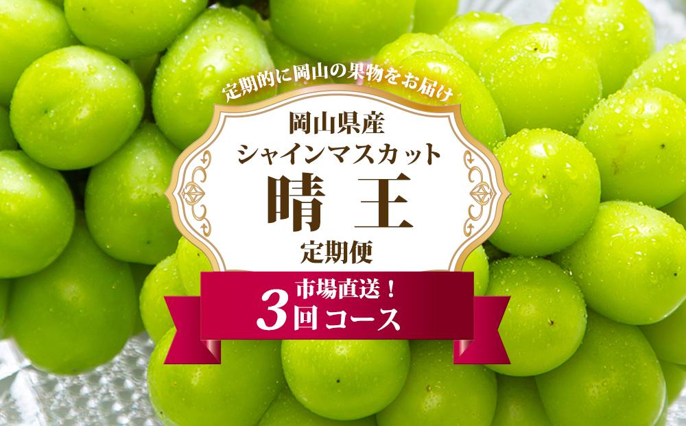 ぶどう 定期便 2026年 シャイン マスカット 晴王 各月2房（1房600g以上） 3回コース マスカット ブドウ 葡萄  岡山県産 国産 フルーツ 果物 ギフト