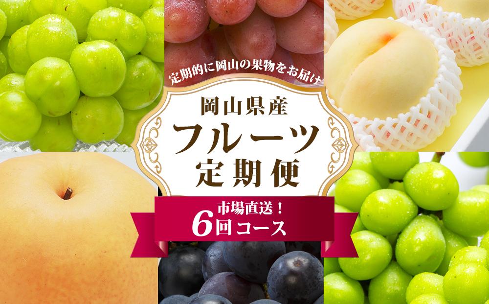 フルーツ 定期便 2026年 フルーツ王国 岡山を堪能 6回コース 夏・秋・冬物語 桃 もも 葡萄 ぶどう 梨 なし岡山県産 国産 果物 セット ギフト