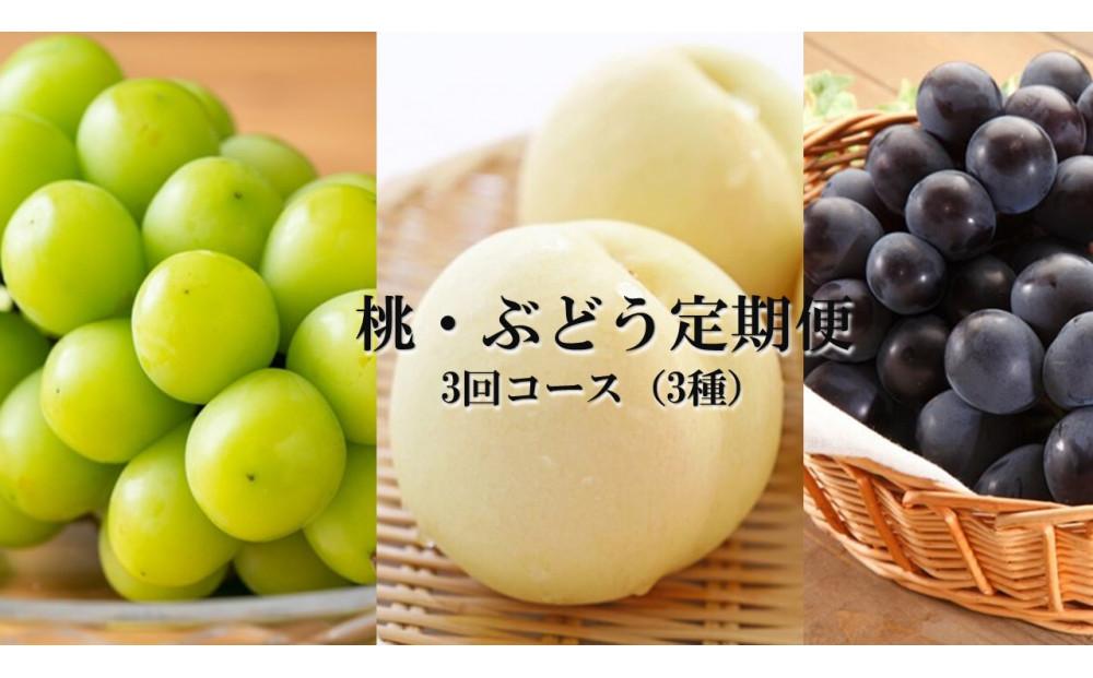 桃 ぶどう 定期便 2026年 晴れの国 岡山 の フルーツ 定期便 3回コース もも モモ 葡萄 ブドウ 岡山県産 国産 セット ギフト