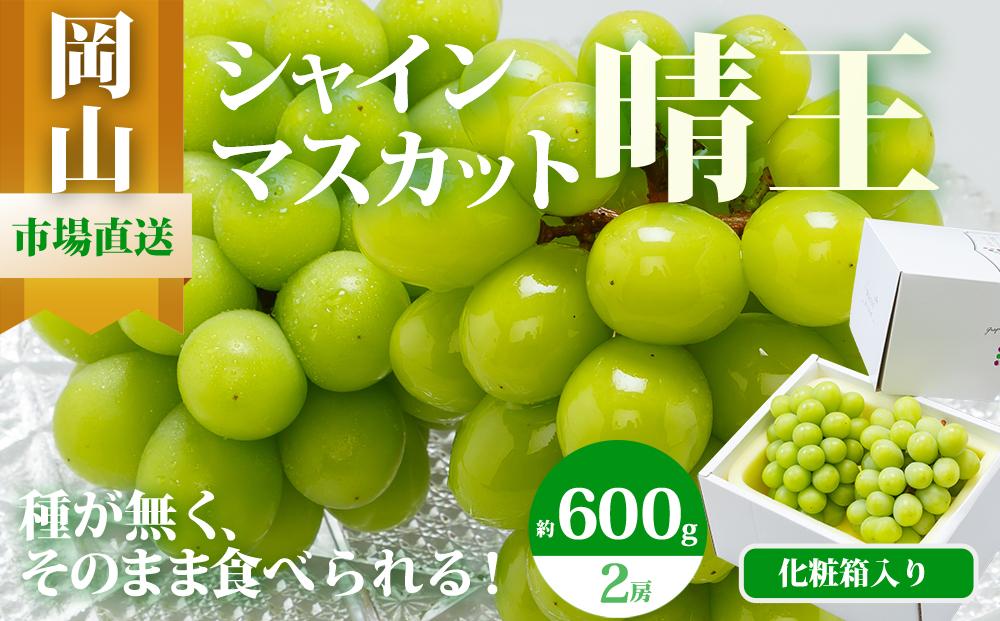 ぶどう 2026年  シャイン マスカット 晴王 2房（1房 600g以上）化粧箱入り マスカット ブドウ 葡萄  岡山県産 国産 フルーツ 果物 ギフト