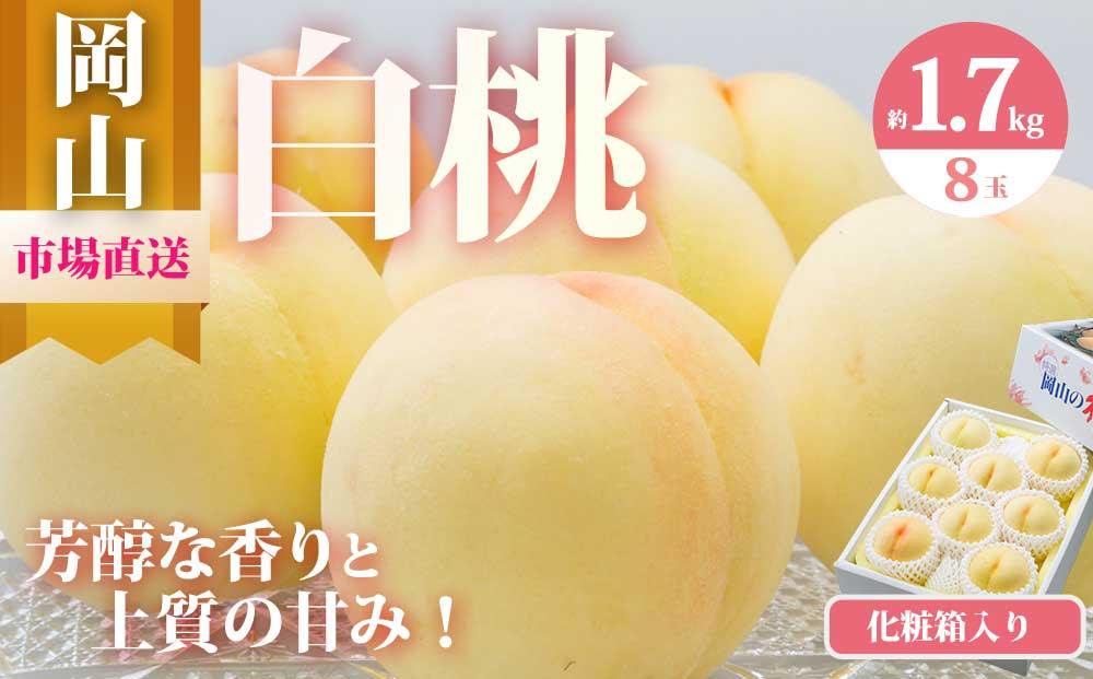 桃 2026年 岡山 白桃 8玉（合計1.7kg以上）化粧箱入り もも モモ 岡山県産 国産 フルーツ 果物 ギフト