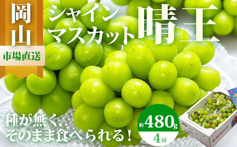 ぶどう 2026年  シャイン マスカット 晴王 4房（1房480g以上）約2kg マスカット ブドウ 葡萄  岡山県産 国産 フルーツ 果物 ギフト