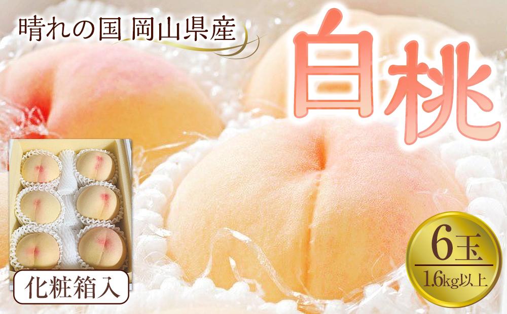 桃  2026年 岡山県産 白桃6玉(1.6kg以上) 化粧箱入り