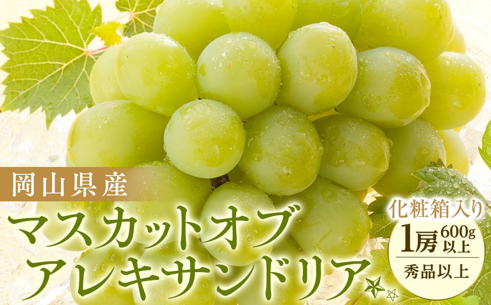 ぶどう 2026年 岡山県産 マスカットオブアレキサンドリア1房(600g以上・秀品以上) 化粧箱入り