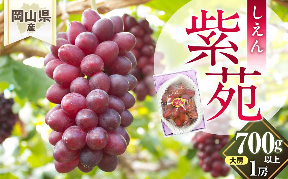ぶどう 2026年 岡山県産 紫苑 1房(700ｇ以上) 化粧箱入り