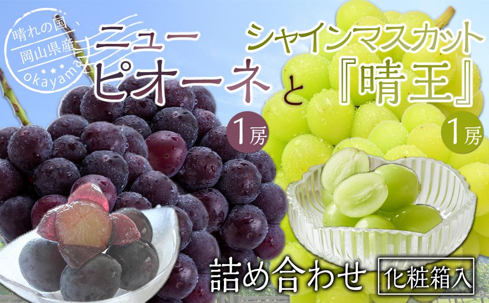 ぶどう 2026年 岡山県産 詰合/ニューピオーネ1房(480g以上)・シャインマスカット『晴王』1房(480g以上) 化粧箱入り