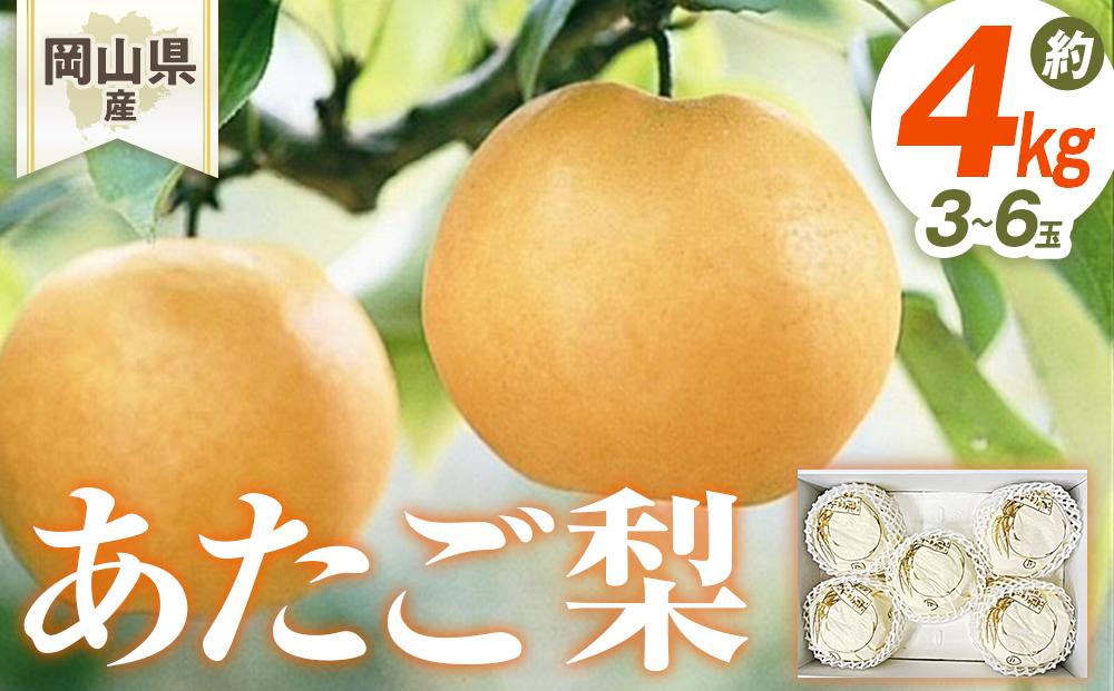 梨 2026年 岡山県産 あたご梨 3-6玉 (約4kg） 化粧箱入り