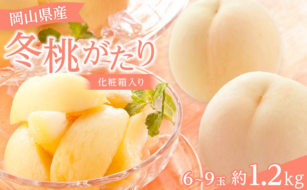 2026年 岡山県産 冬桃がたり6～9玉 約1.2kg 化粧箱入り