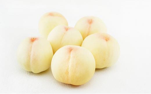 桃 ぶどう 定期便 （隔月） 2026年 晴れの国 岡山の フルーツ 定期便 3回 コース 白桃 もも 葡萄 シャイン マスカット 葡萄 岡山産 国産 フルーツ 果物 ギフト