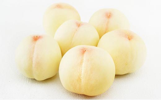 フルーツ 定期便 2026年 晴れの国 岡山 の フルーツ 定期便 4回コース 桃 ぶどう いちご 岡山県産 国産 フルーツ 果物 ギフト