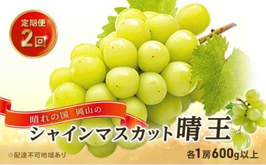 ぶどう 2026年 晴れの国 岡山の シャイン マスカット 晴王 定期便 2回（各1房600g以上） 葡萄 岡山県産 国産 フルーツ 果物 ギフト