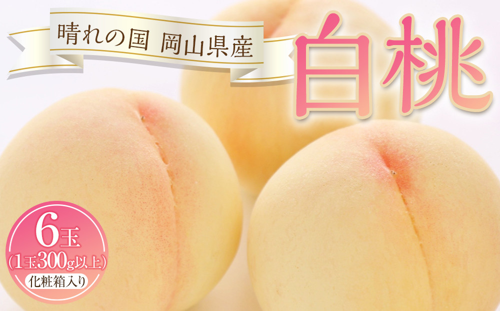 桃 2026年 白桃 6玉（1玉300g以上）化粧箱入りもも モモ 岡山県産 国産 フルーツ 果物 ギフト