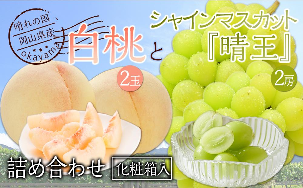 桃 ぶどう 2026年 果物詰合せ 白桃 2玉（1玉200g以上） シャイン マスカット 晴王 2房（合計約940g）化粧箱入り 岡山県産 国産 フルーツ ギフト
