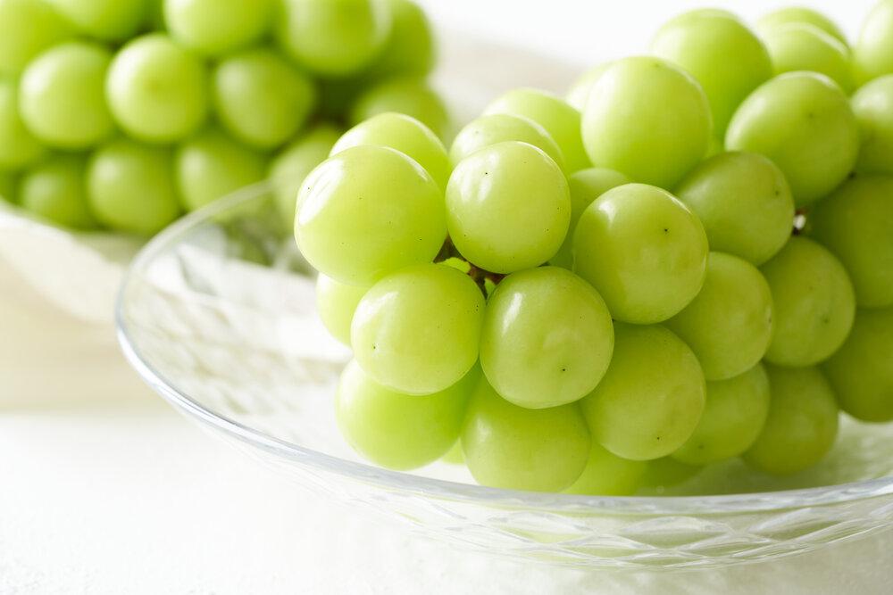 ぶどう 2026年 桃太郎 ぶどう 2房（合計約940g）化粧箱入り マスカット ブドウ 葡萄  岡山県産 国産 フルーツ 果物 ギフト