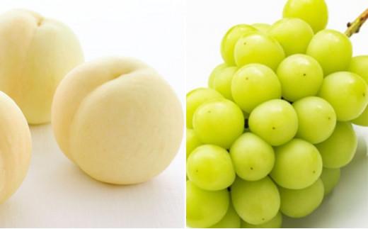 フルーツ 2026年 晴れの国 岡山 の フルーツ 定期便 6回コース 桃 ぶどう 梨 岡山県産 国産 フルーツ 果物 ギフト