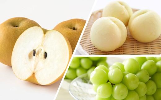 フルーツ 2026年 晴れの国 岡山 の フルーツ 定期便 3回コース 桃 ぶどう 梨 岡山県産 国産 フルーツ 果物 ギフト