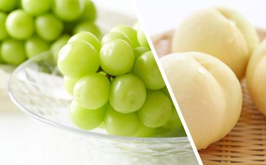 フルーツ 2026年 晴れの国 岡山 の フルーツ 定期便 2回コース 桃 ぶどう 岡山県産 国産 フルーツ 果物 ギフト