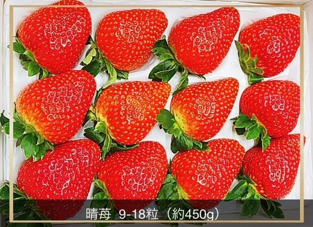 岡山市産 晴苺 9～18粒 約450g 化粧箱入り＜2025年12月中旬以降発送＞