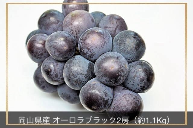 ぶどう 2026年 岡山県産 オーロラブラック 2房 計約1.1kg