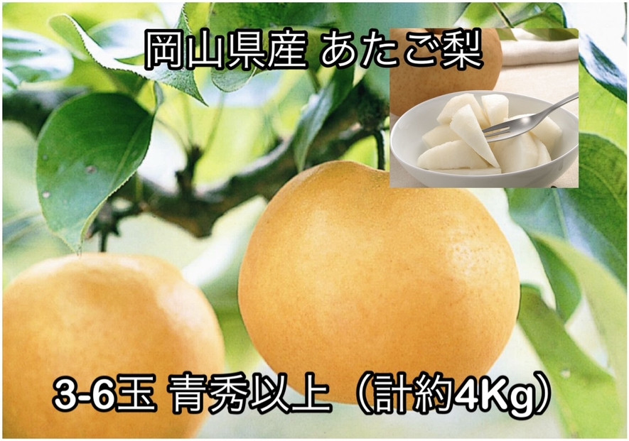 【2026年発送】岡山県産 あたご梨 3～6玉 青秀以上 (計約4.0kg)化粧箱入り