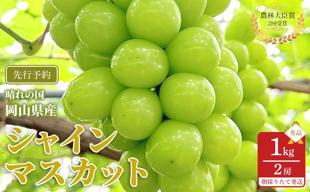 ぶどう 2026年  シャインマスカット 秀品 約1kg 合計2房 農林大臣賞受賞 岡山 国産 果物 フルーツ シャイン マスカット 2026年6月下旬から発送