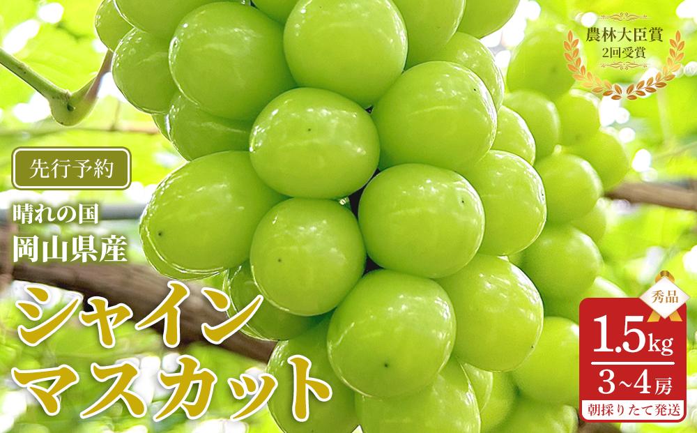 ぶどう 2026年  シャインマスカット 秀品 約1.5kg 合計3～4房 農林大臣賞受賞 岡山 国産 果物 フルーツ シャイン マスカット 2026年6月下旬から発送