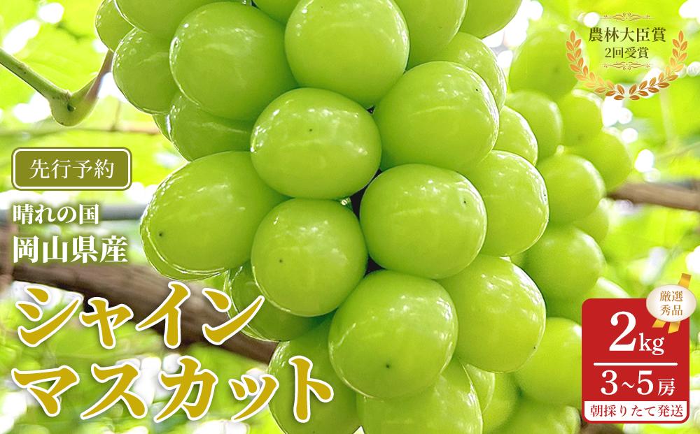 ぶどう 2026年  シャインマスカット 厳選 秀品 約2kg 3～5房 農林大臣賞受賞 岡山 国産 果物 フルーツ シャイン マスカット 2026年7月上旬から発送