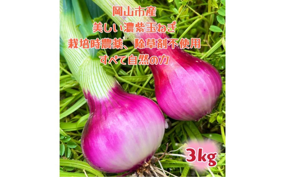 岡山市産 赤紫玉ねぎ3kg(サイズ混合)栽培期間中農薬・除草剤不使用自然の力健康野菜