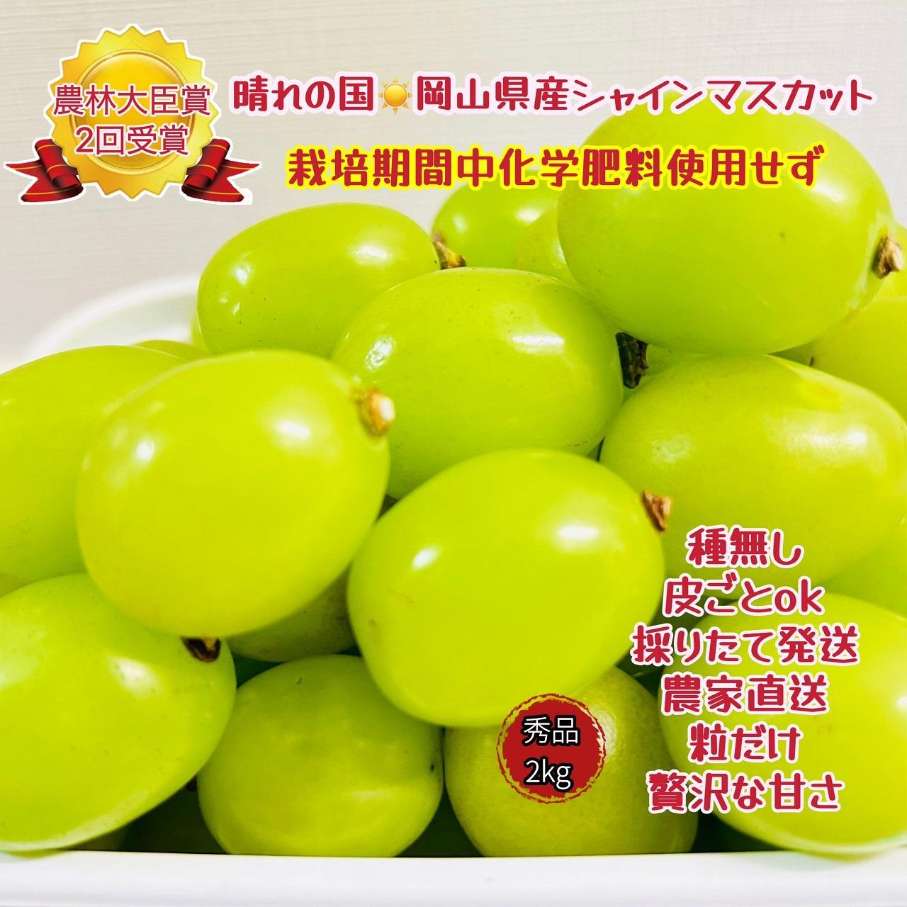 ぶどう2026年  シャインマスカット 秀品 粒だけ 約2kg 岡山 国産 果物 フルーツ  2026年6月下旬から発送