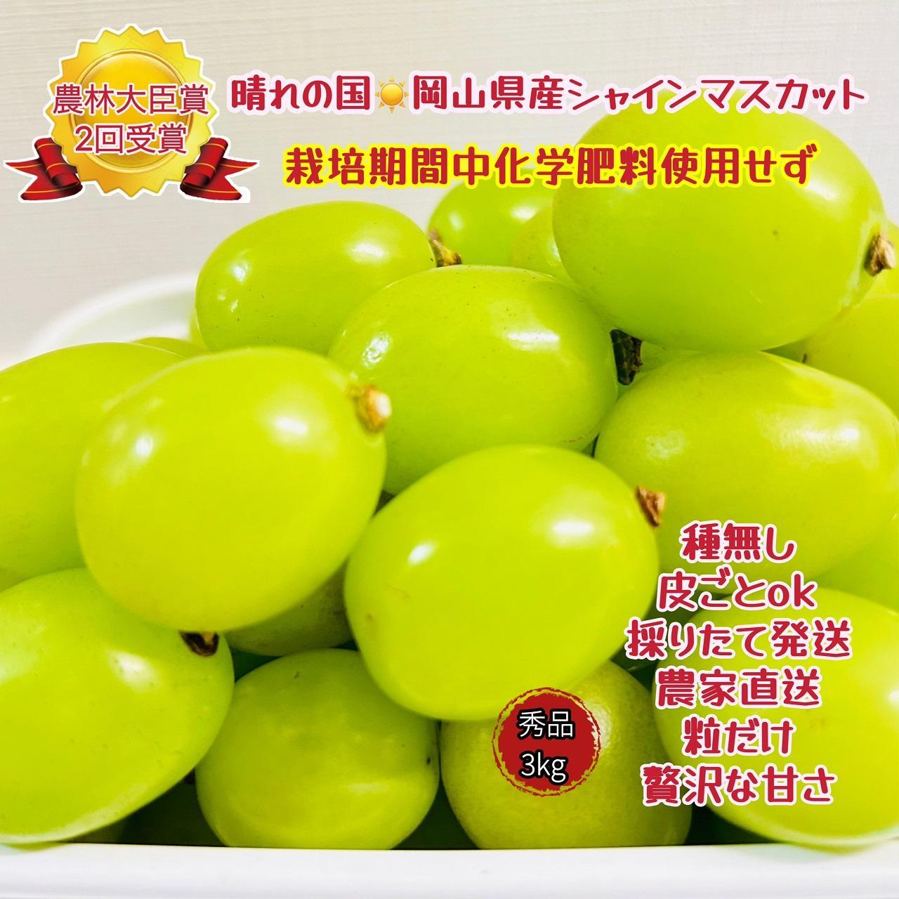 ぶどう 2026年  シャインマスカット 秀品 粒だけ 約3kg 岡山 国産 果物 フルーツ  2026年6月下旬から発送