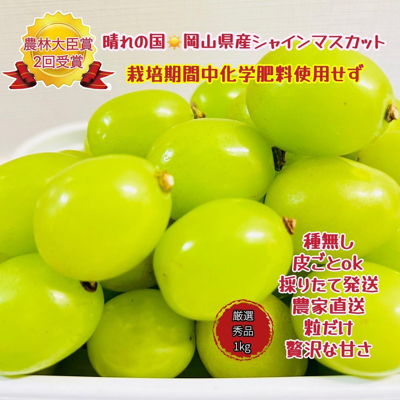 ぶどう 2026年  シャインマスカット 厳選 秀品 粒だけ 約1kg 岡山 国産 果物 フルーツ  2026年7月上旬から発送