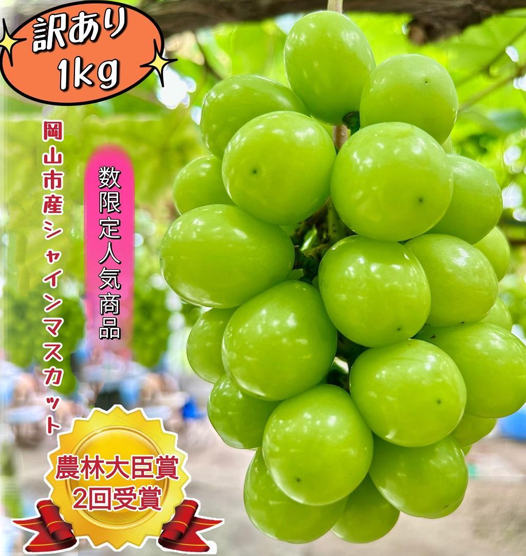 ぶどう 2026年  家庭用 シャインマスカット 約1kg | 岡山 国産 果物 訳あり フルーツ シャイン マスカット2026年7月中旬から発送