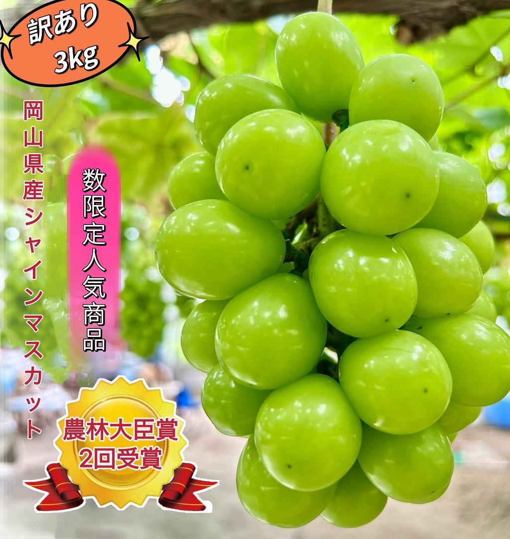 ぶどう 2026年  シャインマスカット 家庭用 約3kg | 岡山 国産 果物 訳あり フルーツ シャイン マスカット2026年7月中旬から発送