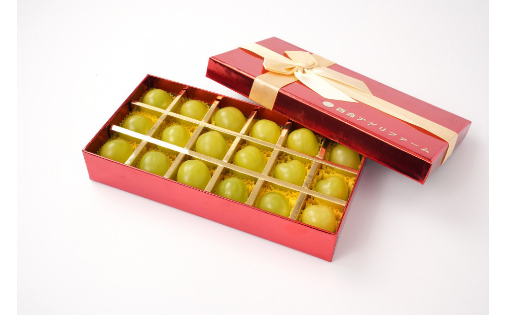 ぶどう2026年シャインマスカット18粒入り化粧箱レッド