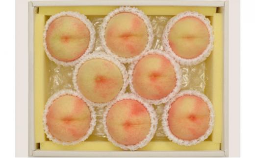 桃 2025年 岡山県産 白桃 約1.8kg 7～9玉 お届け 7月上旬～7月下旬