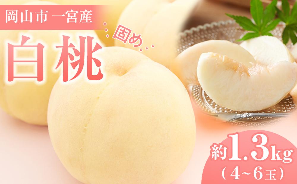 固めの 桃 2026年  ご家庭用 岡山市一宮産 白桃（晩生種）約1.3kg 4～6玉 もも モモ フルーツ 果物 犬塚農園