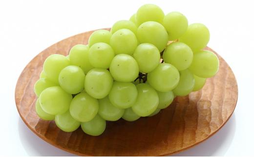 岡山のシャインマスカット1房（1kg以上）