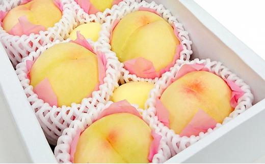 岡山の桃　白桃5～6玉（約1kg）2026年発送